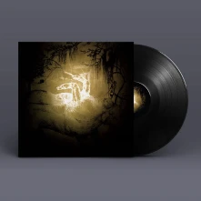 Vinyl HELD ON THE TIPS OF FINGERS