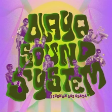 Vinyl SUENAN LOS OLAYA