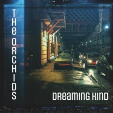 Blue Orchids, CD ORCHIDS - DREAMING KIND