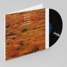 Kenny Wheeler, Vinyl WHEELER, KENNY - GNU HIGH