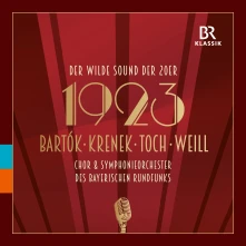 CD SYMPHONIEORCHESTER DES BA - 1923 - THE WILD SOUN OF THE 20S