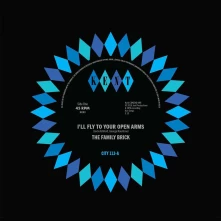 Vinyl 7-I'LL FLY TO YOUR OPE...