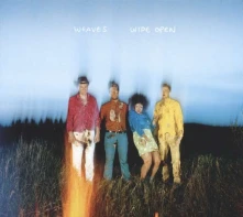 Vinyl WIDE OPEN