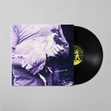 Vinyl CATCHING CHICKENS