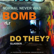 Vinyl NORMAL NEVER WAS