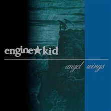 Vinyl ANGEL WINGS
