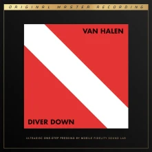 Vinyl Diver Down