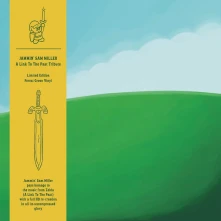 Vinyl A LINK TO THE PAST TRI...