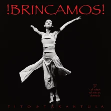 Vinyl !BRINCAMOS!