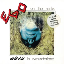 CD ACID IN WOUNDERLAND
