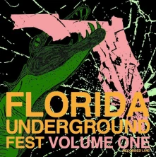 Various Artists, Vinyl FLORIDA UNDERGROUND FE...