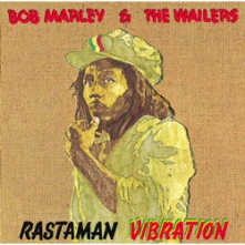 Vinyl RASTAMAN VIBRATION