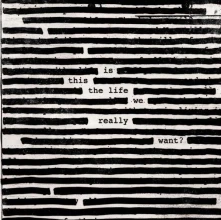 Vinyl Is This The Life We Really Wan