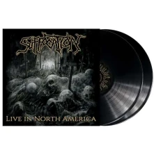 Vinyl Live In North America