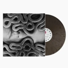 Vinyl GAME OF LIFE