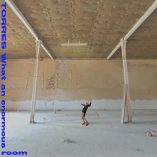 CD TORRES - WHAT AN ENORMOUS ROOM
