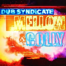 Vinyl DUB SYNDICATE - MELLOW & COLLY