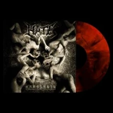 Vinyl ANACLASIS: A HAUNTING GOSPEL OF MALICE & HATRED