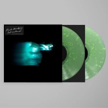 Phoebe Bridgers, Vinyl LOST WEEKEND