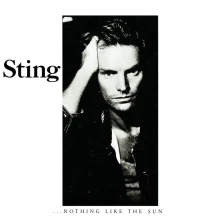 CD Nothing Like The Sun (Enhanced Edition)
