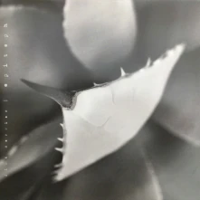 Vinyl EPITAPH