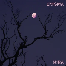 Vinyl ENIGMA