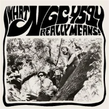 Vinyl WHAT NGC-4594 REALLY MEANS!