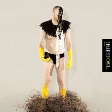CD FOWL