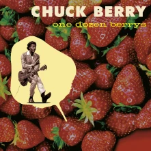 Vinyl ONE DOZEN BERRYS