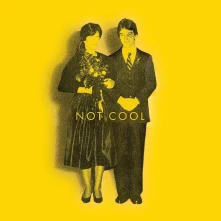 Vinyl NOT COOL