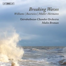 CD WILLIAMS, BACEWICZ &AM...