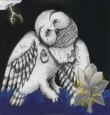 Vinyl THE MAGNOLIA ELECTRIC CO (DELUXE)