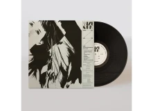 Vinyl EVERY DAY LIKE THE LAST