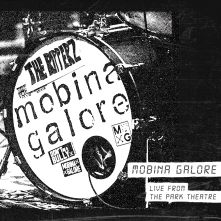 Vinyl LIVE FROM THE PARK THE...