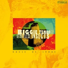 Vinyl BIGGIE TEMBO & STA...