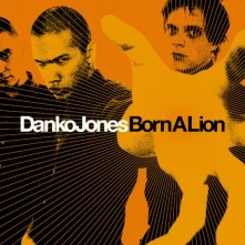 Vinyl BORN A LION