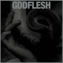 Godflesh, CD GODFLESH - PURGE