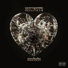 Deez Nuts, Vinyl Saudade