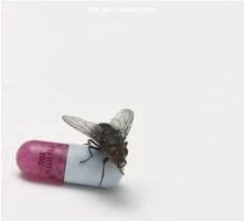 CD I'M WITH YOU