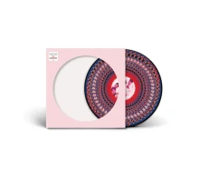 Vinyl Everything Changes (Zoetrope National Album Day 2024 Edition)