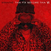 Vinyl THA FIX BEFORE THA VI