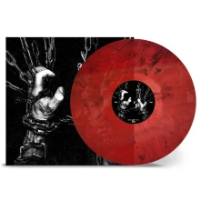 Vinyl WITHIN THE VISCERA