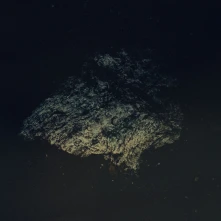 Vinyl Multicast Dynamics - Lost World