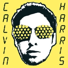 Calvin Harris, Vinyl I Created Disco