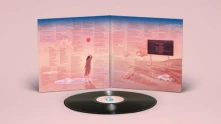 Vinyl HOME VIDEO