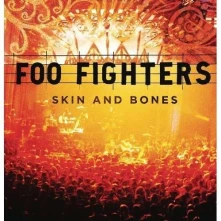 Foo Fighters, Vinyl Skin & Bones