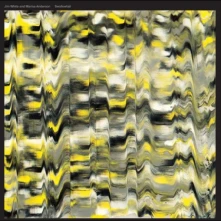 CD SWALLOWTAIL