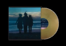 Vinyl REST