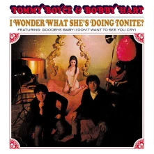 Tommy Boyce & Bobby Hart, Vinyl I WONDER WHAT SHE'S DOING TONITE?