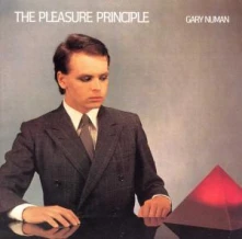CD PLEASURE PRINCIPLES